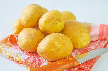 Image showing raw potato