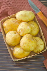 Image showing potato