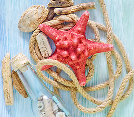 Image showing sea shells on blue background