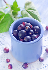 Image showing black currant