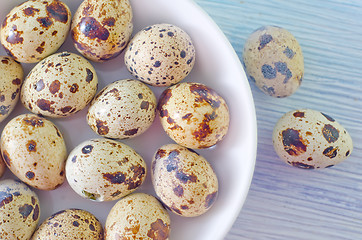 Image showing quail eggs