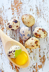 Image showing quail eggs