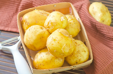 Image showing potato