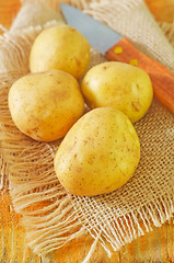 Image showing raw potato