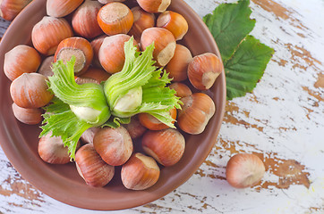 Image showing hazelnuts