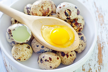 Image showing quail eggs