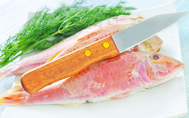 Image showing raw fish