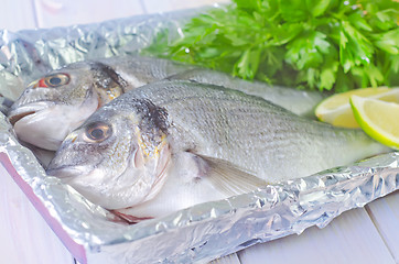 Image showing raw fish