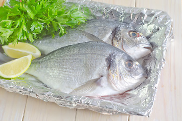 Image showing raw fish