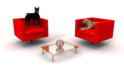 Image showing dogs in the lounge room