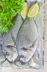 Image showing raw fish