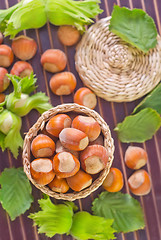 Image showing hazelnuts