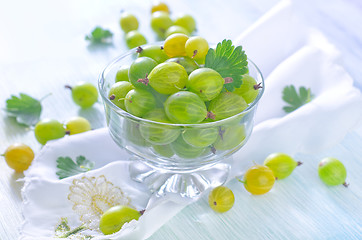 Image showing gooseberry