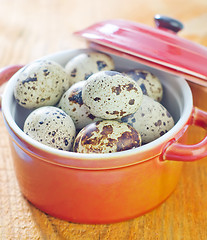 Image showing quail eggs