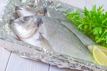 Image showing raw fish