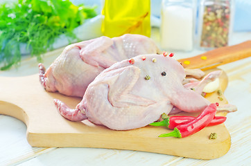 Image showing raw quail