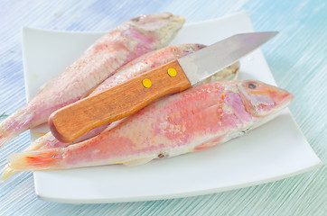 Image showing raw fish