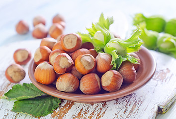 Image showing hazelnuts