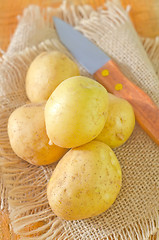 Image showing raw potato