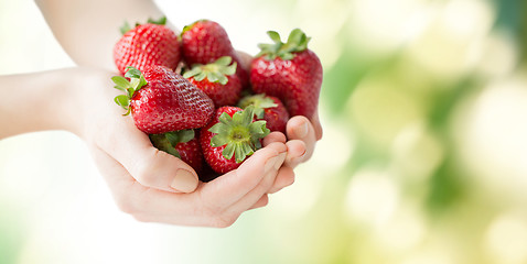 Image showing close up of woman hands holding strawberries