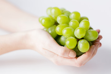 Image showing close up of woman hands holding green grape bunch