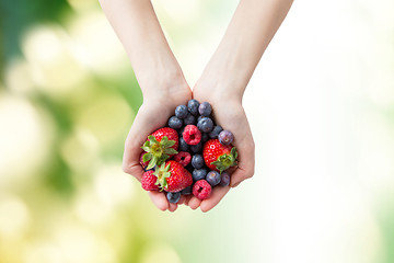 Image showing close up of woman hands holding berries