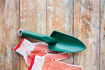 Image showing close up of trowel and garden gloves