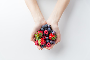 Image showing close up of woman hands holding berries