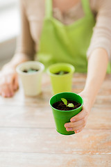 Image showing close up of woman hand holding pot with sprout