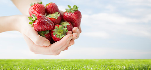 Image showing close up of woman hands holding strawberries