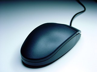 Image showing mouse