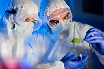 Image showing close up of scientists with green leaf in lab