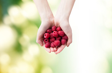 Image showing close up of woman hands holding raspberries