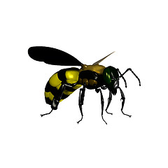 Image showing 3d bug