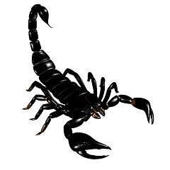 Image showing 3d scorpion