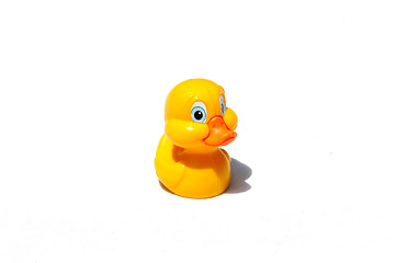 Image showing Yellow duck