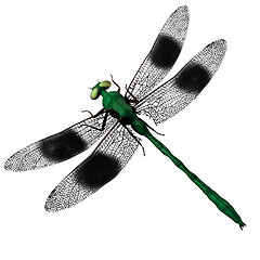 Image showing 3d mosquito