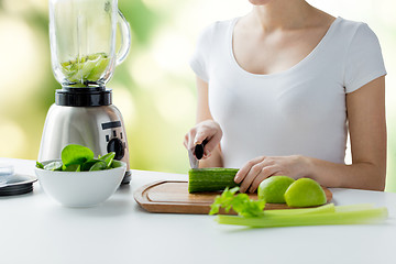 Image showing close up of woman with blender chopping vegetables