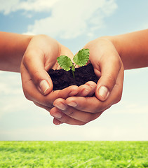 Image showing woman hands holding plant in soil