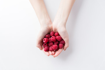 Image showing close up of woman hands holding raspberries