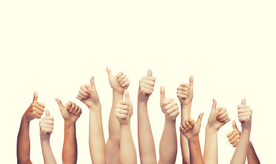 Image showing human hands showing thumbs up