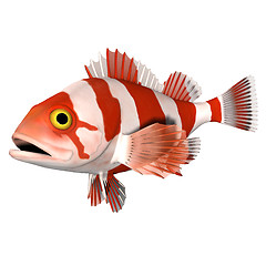 Image showing 3d animation fish