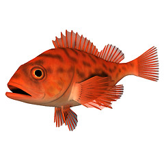 Image showing 3d animation fish