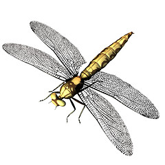 Image showing 3d mosquito