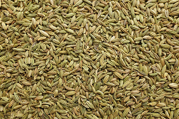 Image showing Fennel seeds background