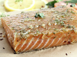 Image showing Salted salmon fillet