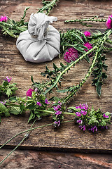 Image showing cut flowers prickly Thistle