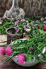 Image showing Milk thistle flower