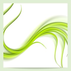 Image showing Abstract elegant green wavy pattern background