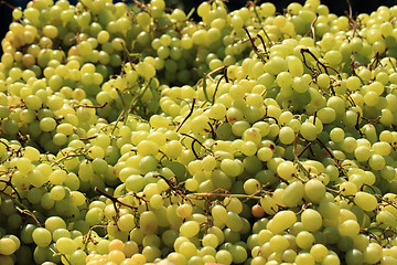 Image showing white grapes background